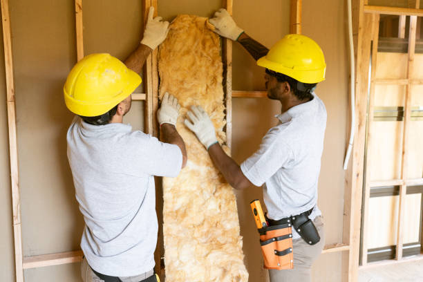 Types of Insulation We Offer in Campbell, CA